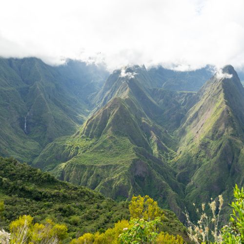 Dos d'ane roche vert bouteille